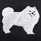 Jockey Bordado con perro Samoyedo - Miniatura 10