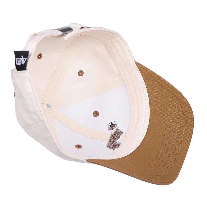 Jockey Bordado con Border Collie Café  2