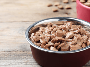 ALIMENTACIÓN HÚMEDA, YOGURT Y CALDOS