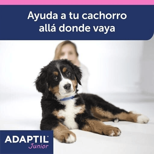 Adaptil Collar Junior Antiestrés 3