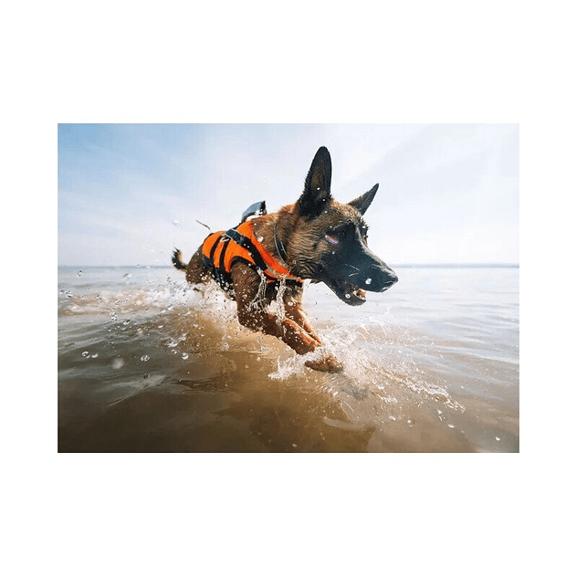 Non-stop Chaleco Salvavidas Safe Life Jacket 2.0 2