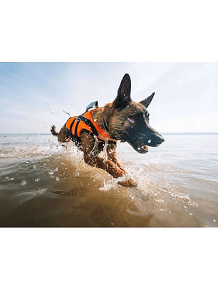 Non-stop Chaleco Salvavidas Safe Life Jacket 2.0