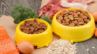 ALIMENTACIÓN PERROS