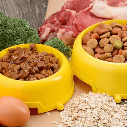 ALIMENTACIÓN PERROS