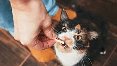 SNACKS NATURALES, GOLOSINAS Y MORDEDORES NATURALES