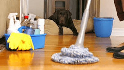 LIMPIEZA DEL HOGAR