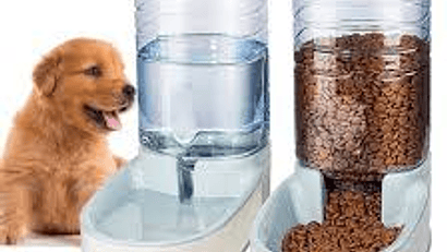 COMEDEROS Y BEBEDEROS