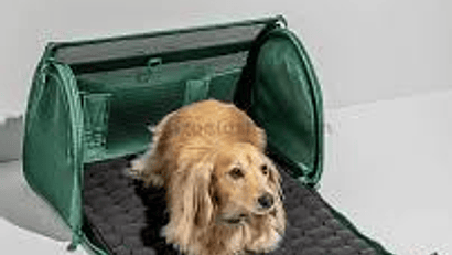 BOLSAS Y TRANSPORTINES