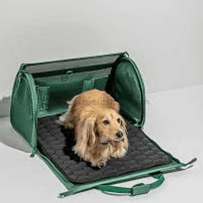 BOLSAS Y TRANSPORTINES