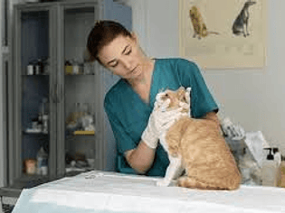 PHARMA(Vitaminas, Complementos y Educadores)