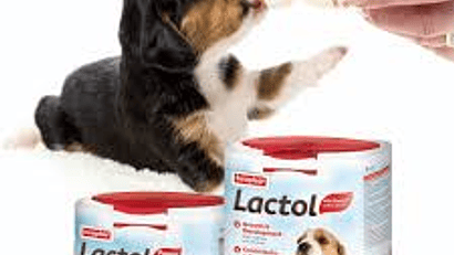 LECHE PARA GATITOS Y CACHORROS