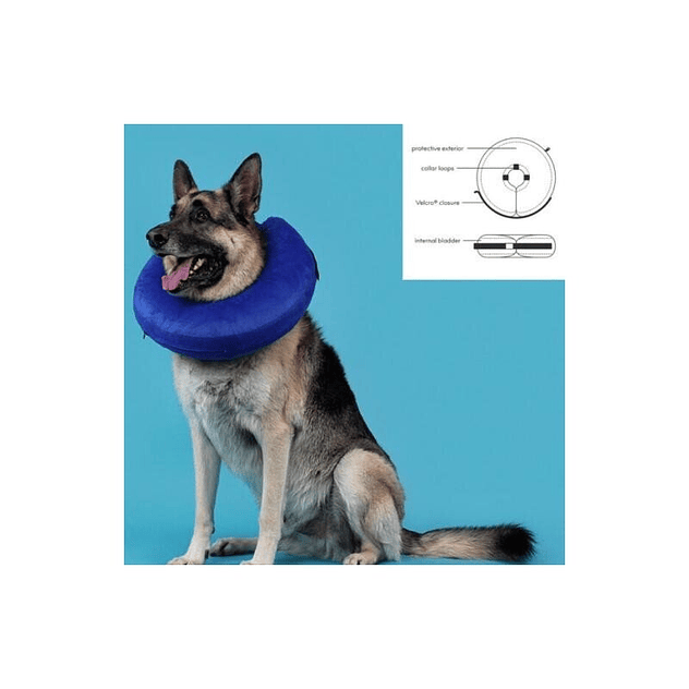 KONG Collar Isabelino Cloud Azul para Perro y Gato 3