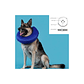 KONG Collar Isabelino Cloud Azul para Perro y Gato - Miniatura 3