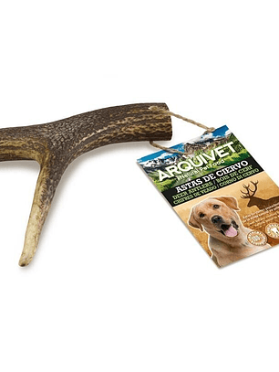 Arquivet Asta de ciervo