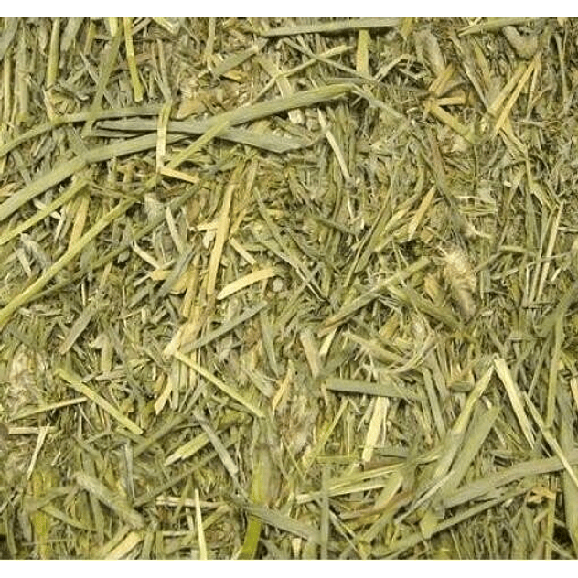 Beaphar Heno Care+ Timothy para Roedores 1KG 2