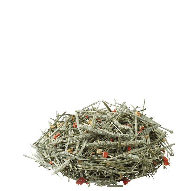 Versele Laga Heno para Roedores Timothy Hay Zanahoria y Calabaza 500gr 2