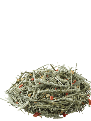 Versele Laga Heno para Roedores Timothy Hay Zanahoria y Calabaza 500gr