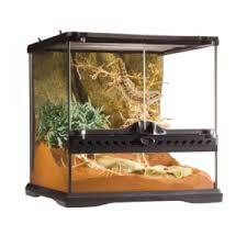 TERRARIOS Y ACCESORIOS