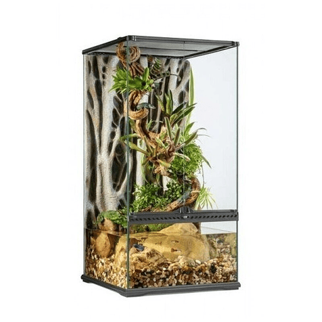 Terrario Paludarium para reptiles color Transparente 1