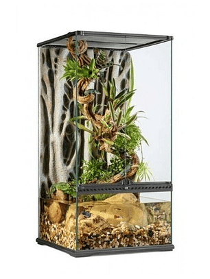 Terrario Paludarium para reptiles color Transparente