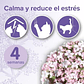 Beaphar No Stress Pack Difusor y Recarga para Gatos 30ml - Miniatura 3