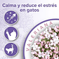 Beaphar Calming Collar Comportamiento para Gatos - Miniatura 3