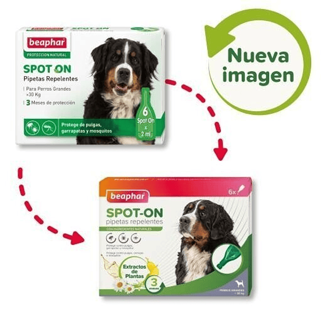 Beaphar Pipetas Antiparasitarias para Perros Grandes +30 kg 2