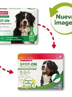Beaphar Pipetas Antiparasitarias para Perros Grandes +30 kg