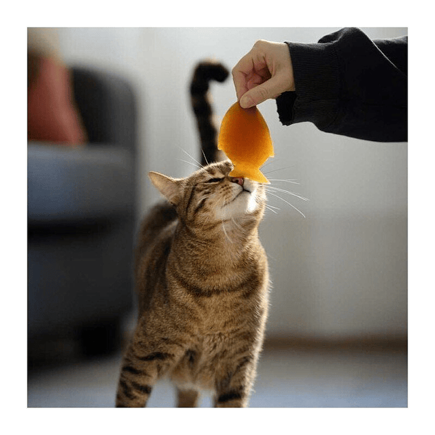 Juguete para gatos Retorn Rub Fish for Cats 2