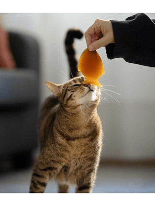 Juguete para gatos Retorn Rub Fish for Cats