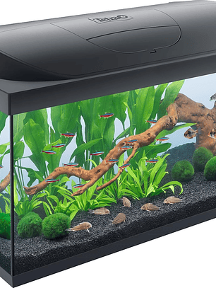 Tetra Starter Line LED 105L Acuario de inicio grande, bombilla LED con modo luz diurna/nocturna