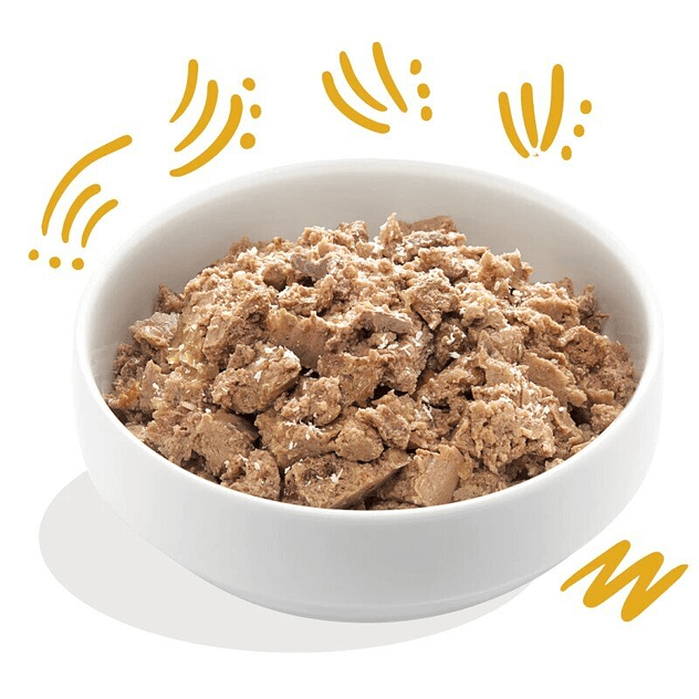 Edgar & Cooper Adult Bio Pavo Orgánico 100 Gr Tarrina para Perros 2