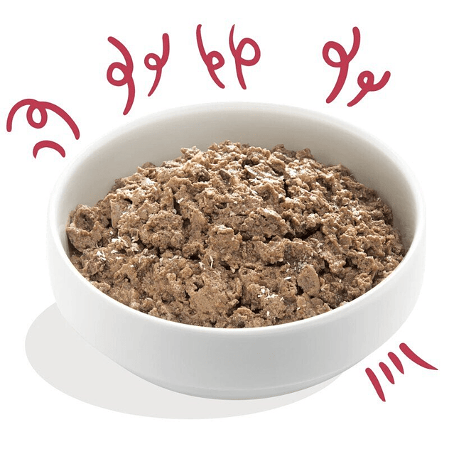 Edgar & Cooper Adult Bio Vacuno Orgánico 100 Gr Tarrina para Perros 2