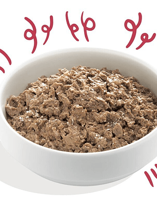 Edgar & Cooper Adult Bio Vacuno Orgánico 100 Gr Tarrina para Perros