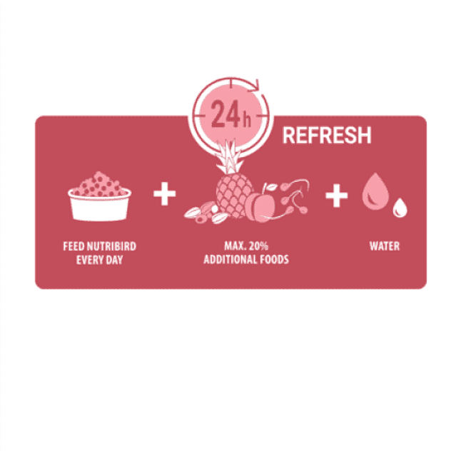 Versele Laga Nutribird G14 Original Periquitos Grandes 1kg 4