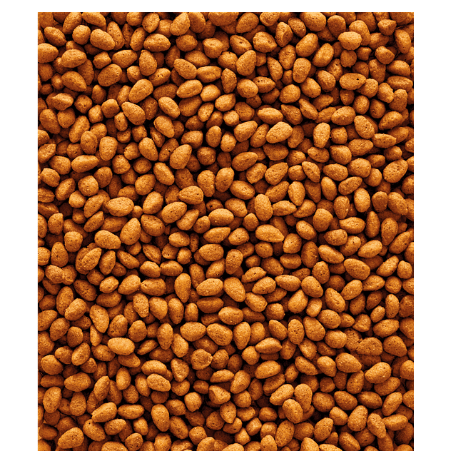 Versele Laga Nutribird G14 Original Periquitos Grandes 1kg 3