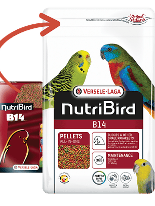 Versele Laga Nutribird B14 Periquito