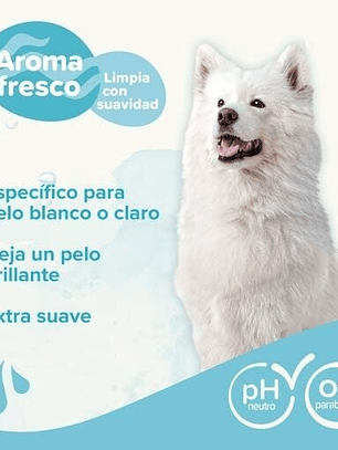 Beaphar Champú para Perros de Pelo Blanco