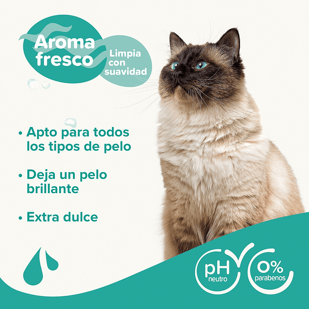 Beaphar Champú para Gatos 2