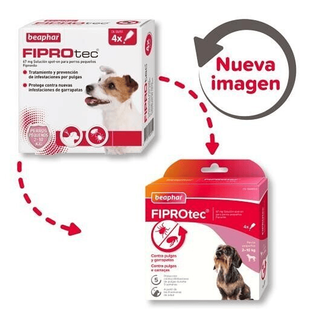 Beaphar Fiprotec Pipetas Spot-On para Perros de 2-10 Kg (67mg) 2