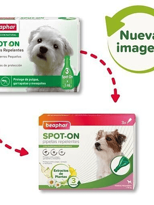 Beaphar Pipetas Antiparasitarias para Raza Pequeña >15 Kg