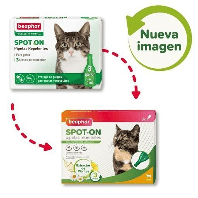 Beaphar Pipetas Spot On Antiparasitario Natural para Gato 2
