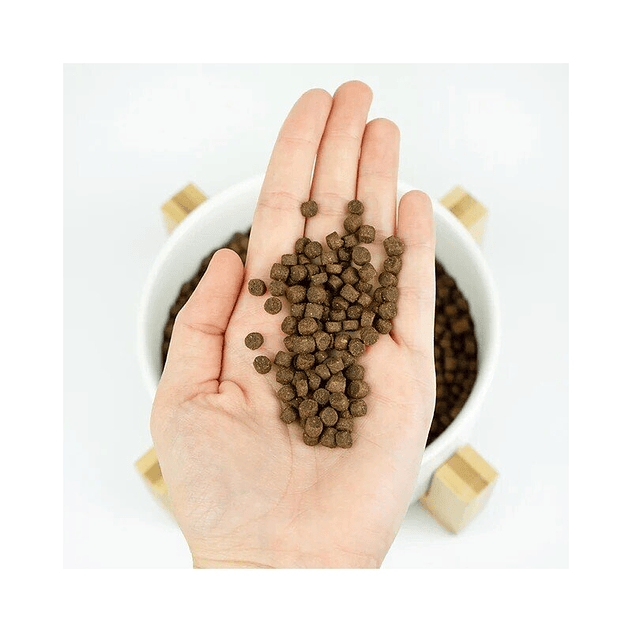 Lenda Kitten Poultry & Fish 2kg 5