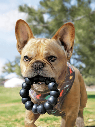 KONG Extreme Ring mordedor para perros