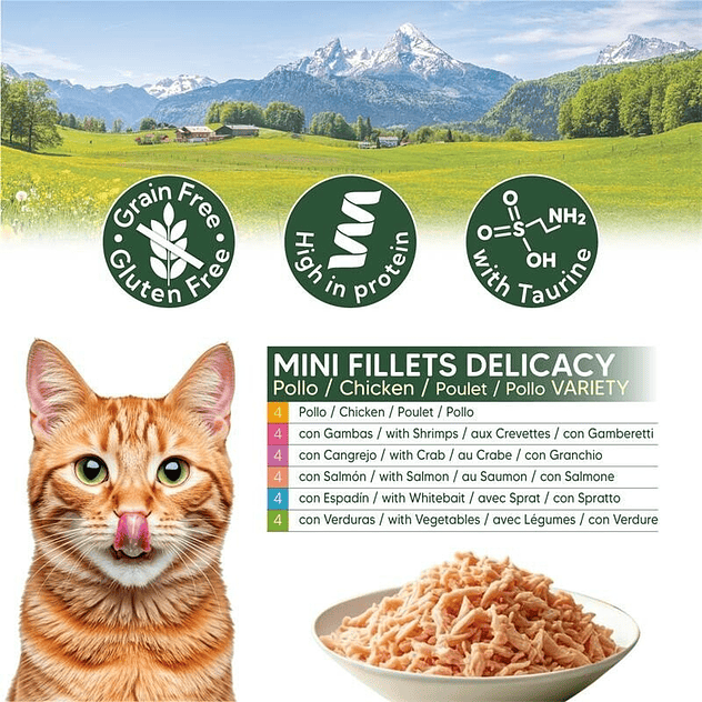 PACK Chicken mini filetes  24 latas de pollo 3