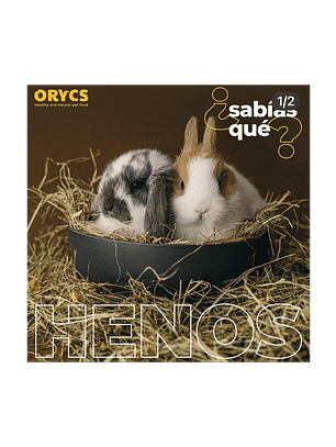 MiniOrycs Heno Manzanilla y Caléndula para Conejos y roedores