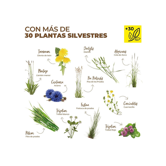 MiniOrycs Heno De Montaña 500gr para  Conejos y roedores. 3