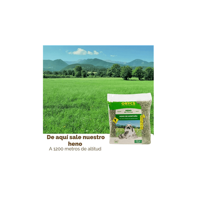 MiniOrycs Heno De Montaña 500gr para  Conejos y roedores. 4