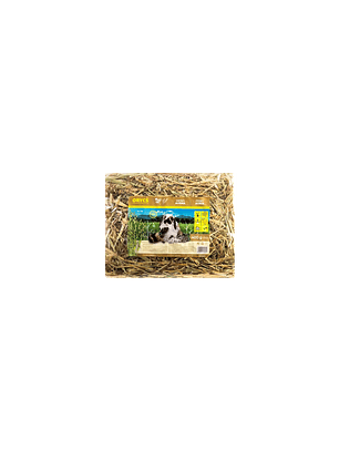 MiniOrycs Heno De avena 400gr para Conejos y roedores.