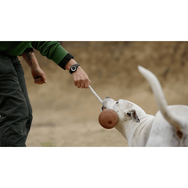 Juguete para perros Retorn Rub Ball Rope XL 3